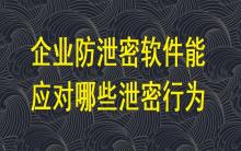 企業(yè)防泄密軟件能應(yīng)對哪些泄密行為？
